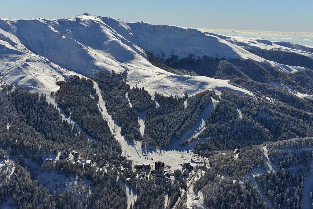 Le Figarelou Panzió Thiézac Kültér fotó