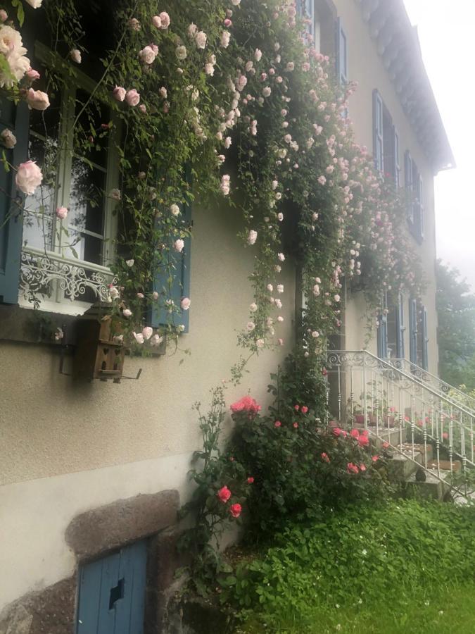 Le Figarelou Panzió Thiézac Kültér fotó